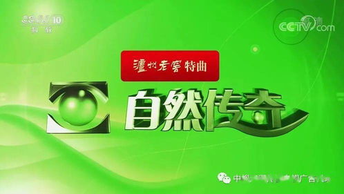建材行业央视广告投放策略及专业代理服务解析